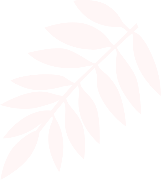 plante_background